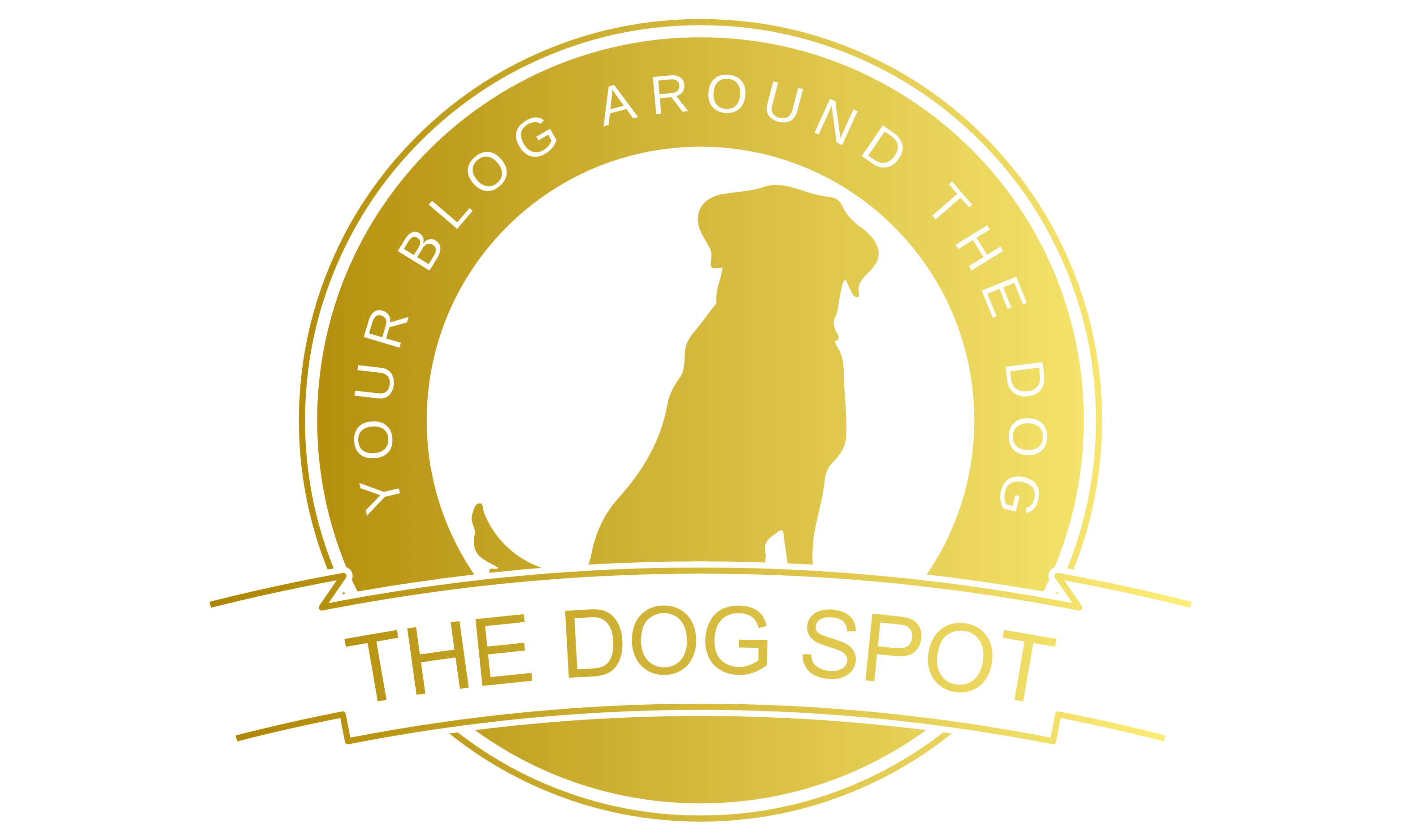 TheDogSpot