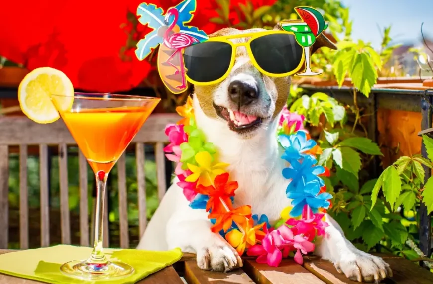From Ales To Tails: The Ultimate Guide To Alcohol Dog Names For 2024